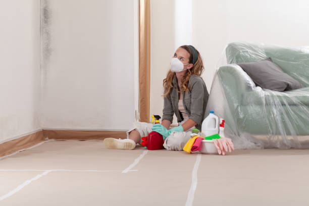 Reliable Mold Remediation contractor in Millersburg, OR by 24 Hour Mold Removal